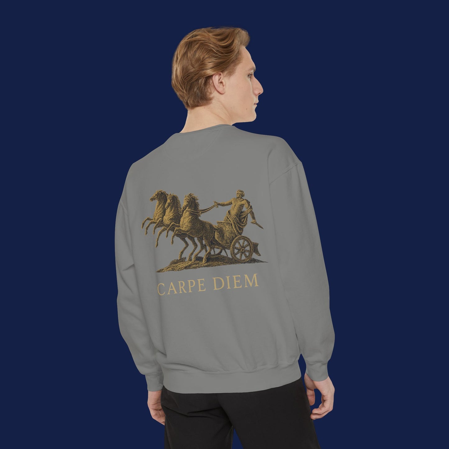 Carpe Diem Sweatshirt, Unisex Vintage-Style Crewneck, Perfect for Everyday Wear, Gifts for Friends, Motivational Apparel