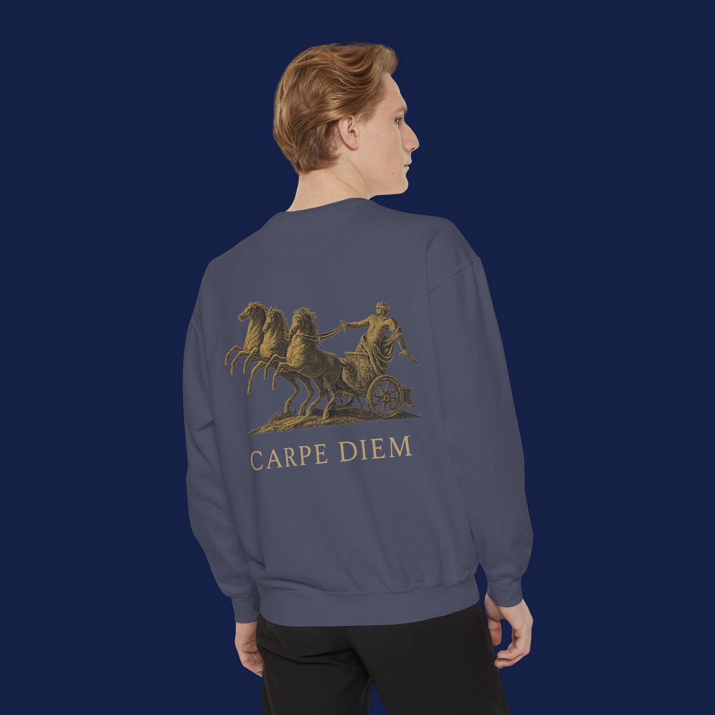 Carpe Diem Sweatshirt, Unisex Vintage-Style Crewneck, Perfect for Everyday Wear, Gifts for Friends, Motivational Apparel