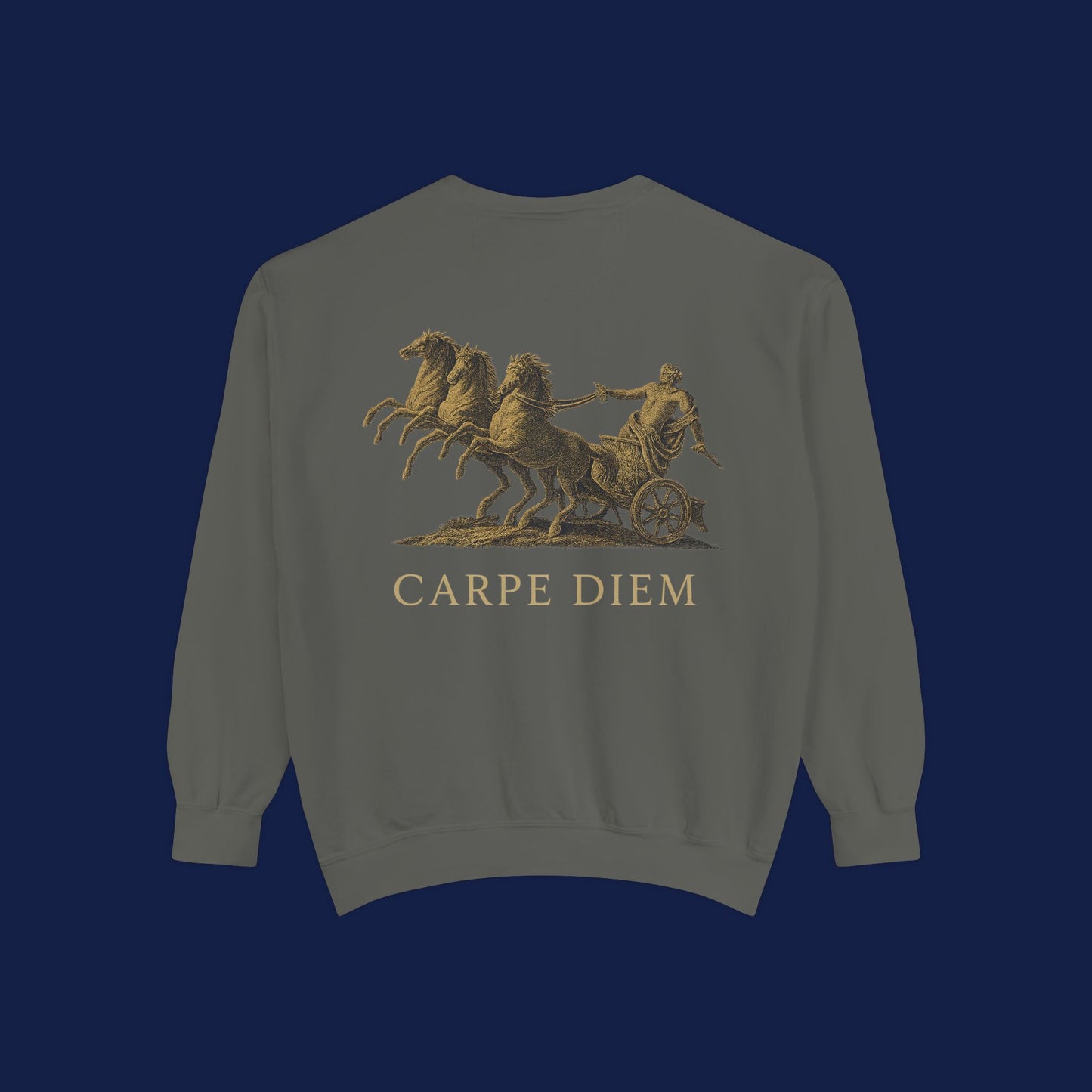 Carpe Diem Sweatshirt, Unisex Vintage-Style Crewneck, Perfect for Everyday Wear, Gifts for Friends, Motivational Apparel