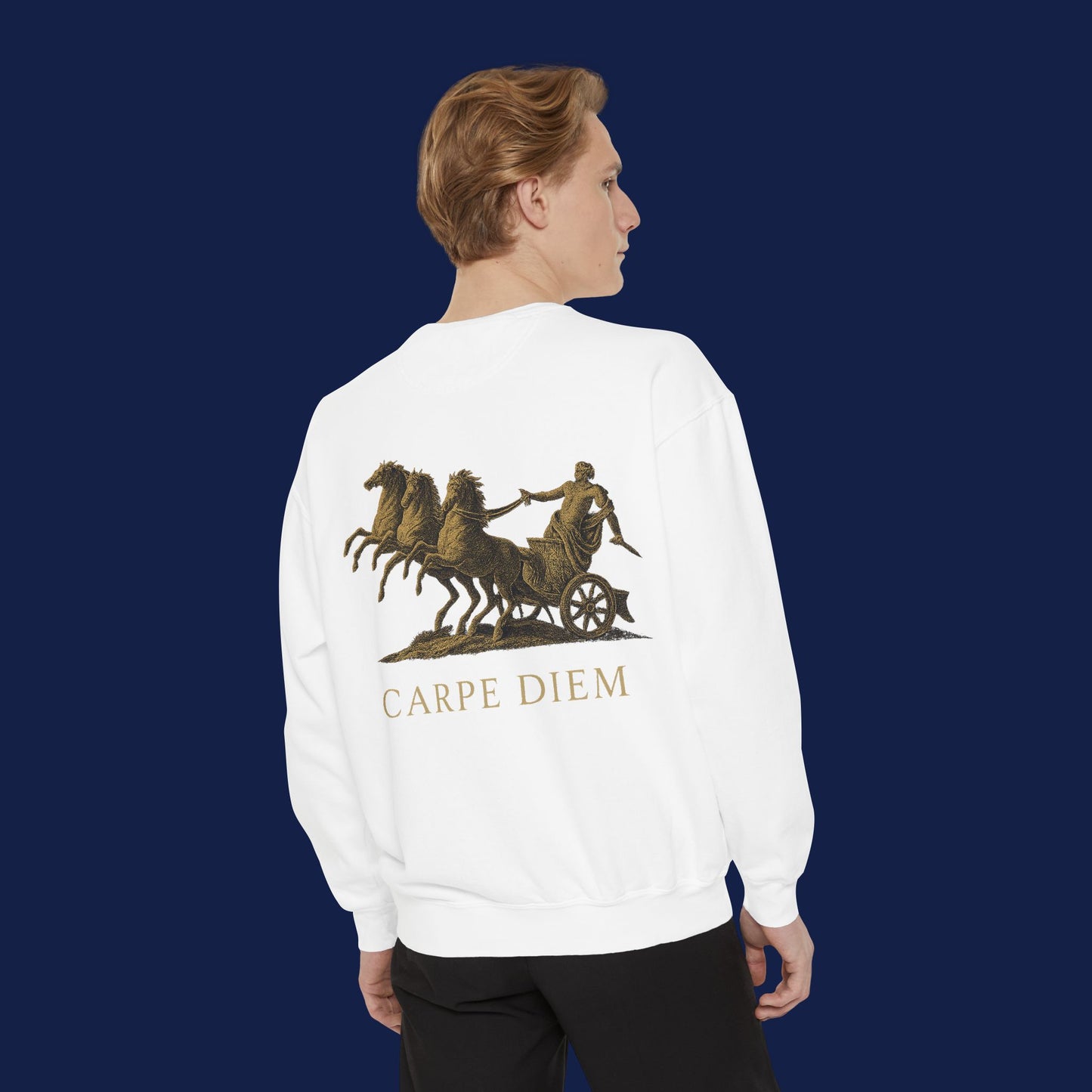 Carpe Diem Sweatshirt, Unisex Vintage-Style Crewneck, Perfect for Everyday Wear, Gifts for Friends, Motivational Apparel