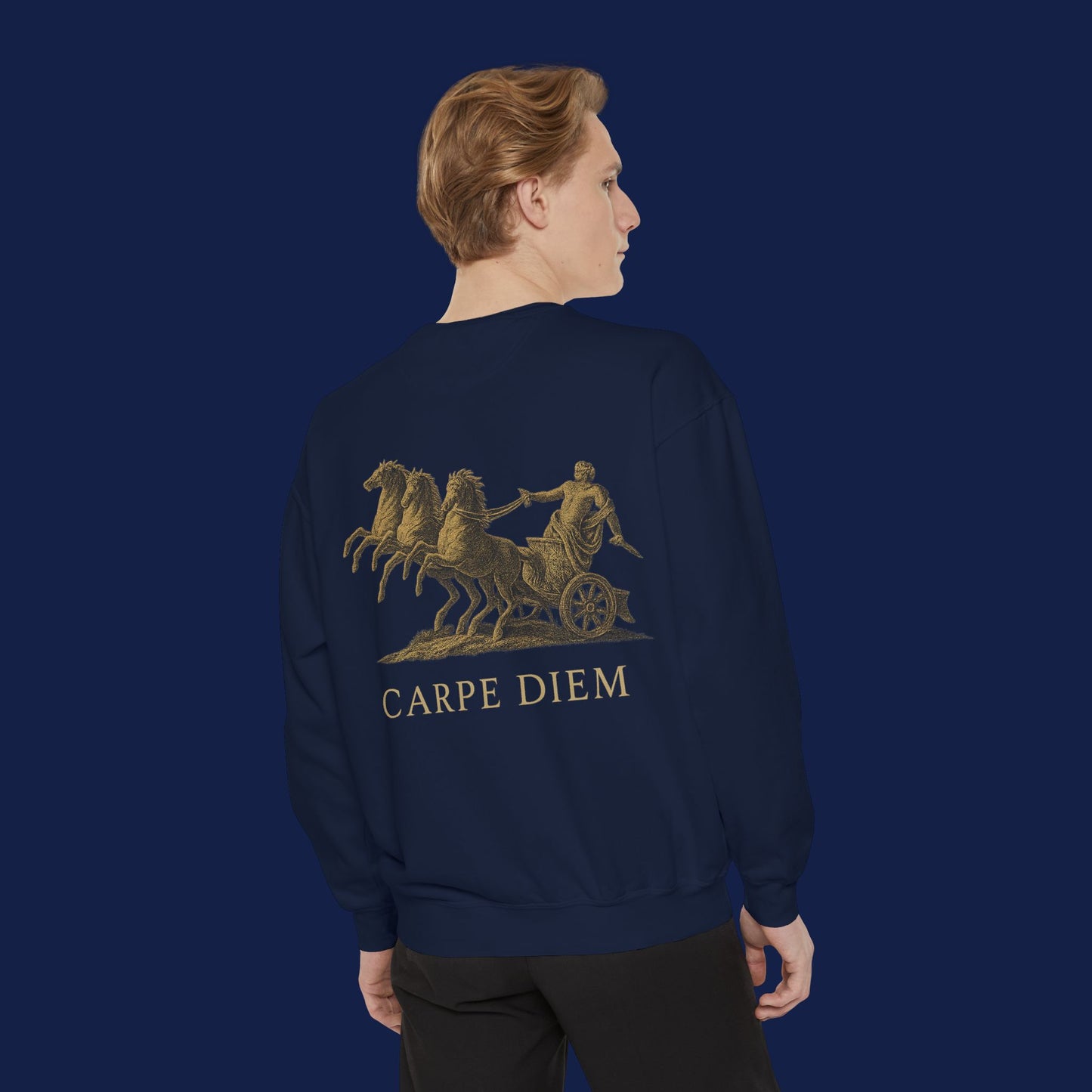 Carpe Diem Sweatshirt, Unisex Vintage-Style Crewneck, Perfect for Everyday Wear, Gifts for Friends, Motivational Apparel