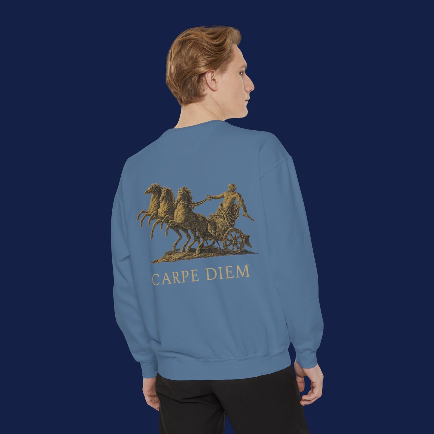 Carpe Diem Sweatshirt, Unisex Vintage-Style Crewneck, Perfect for Everyday Wear, Gifts for Friends, Motivational Apparel