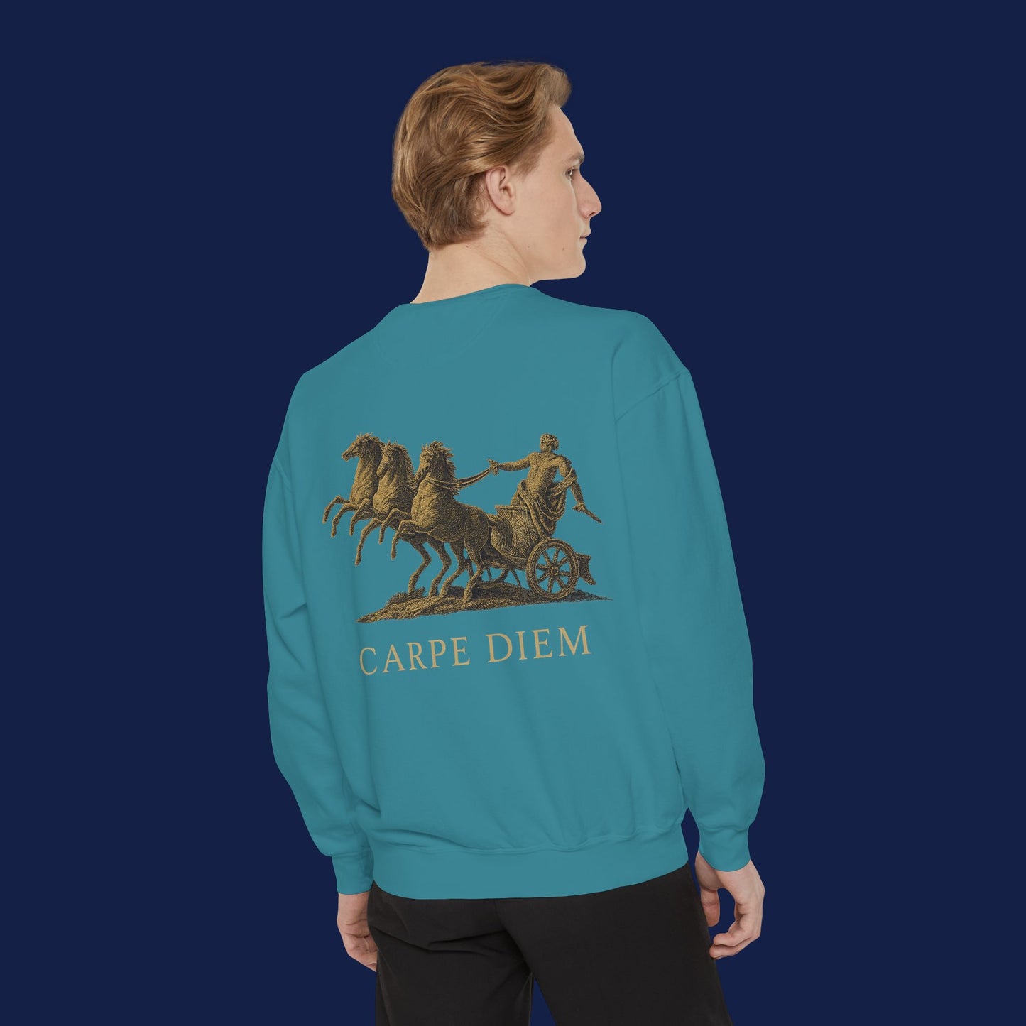 Carpe Diem Sweatshirt, Unisex Vintage-Style Crewneck, Perfect for Everyday Wear, Gifts for Friends, Motivational Apparel