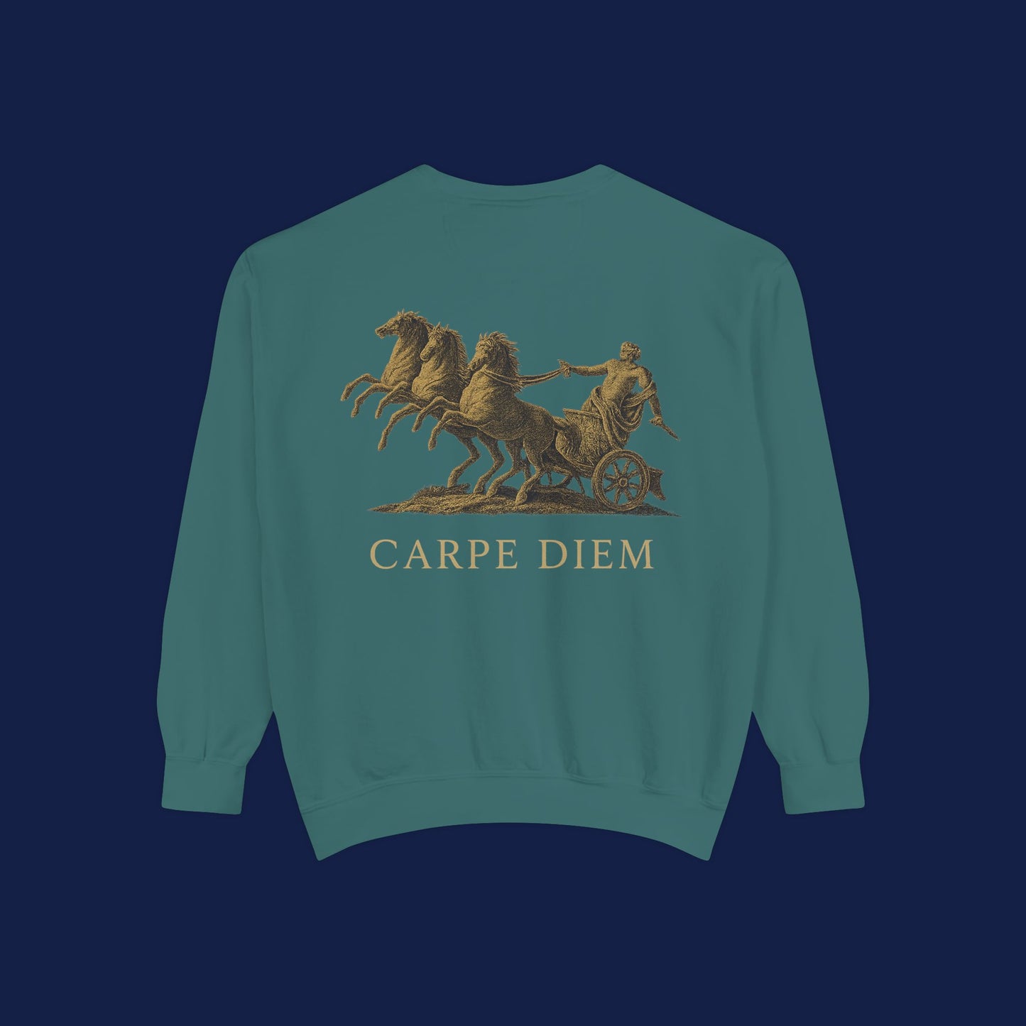 Carpe Diem Sweatshirt, Unisex Vintage-Style Crewneck, Perfect for Everyday Wear, Gifts for Friends, Motivational Apparel