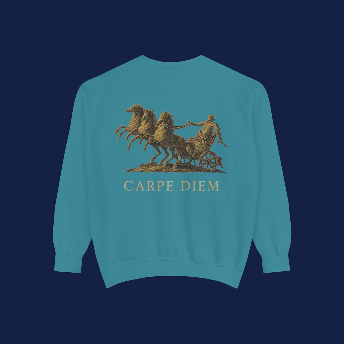 Carpe Diem Sweatshirt, Unisex Vintage-Style Crewneck, Perfect for Everyday Wear, Gifts for Friends, Motivational Apparel