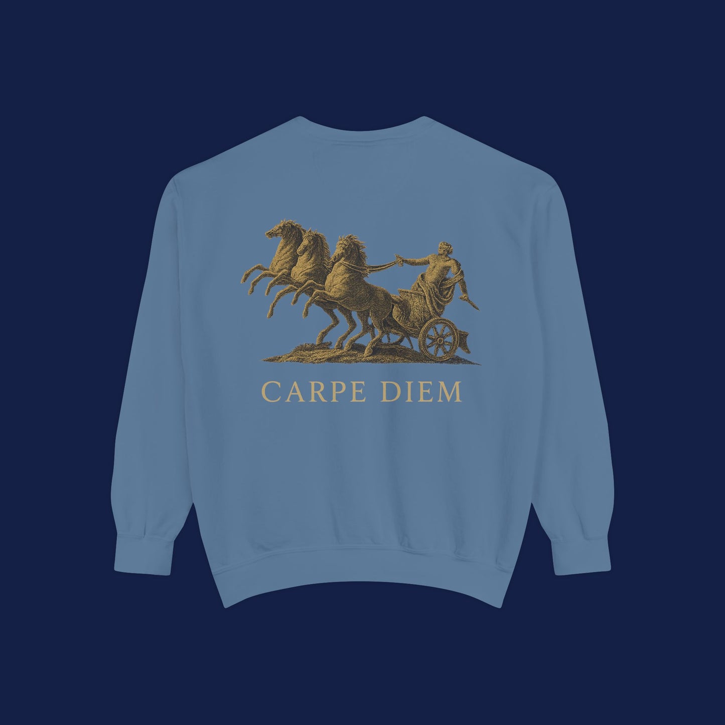 Carpe Diem Sweatshirt, Unisex Vintage-Style Crewneck, Perfect for Everyday Wear, Gifts for Friends, Motivational Apparel