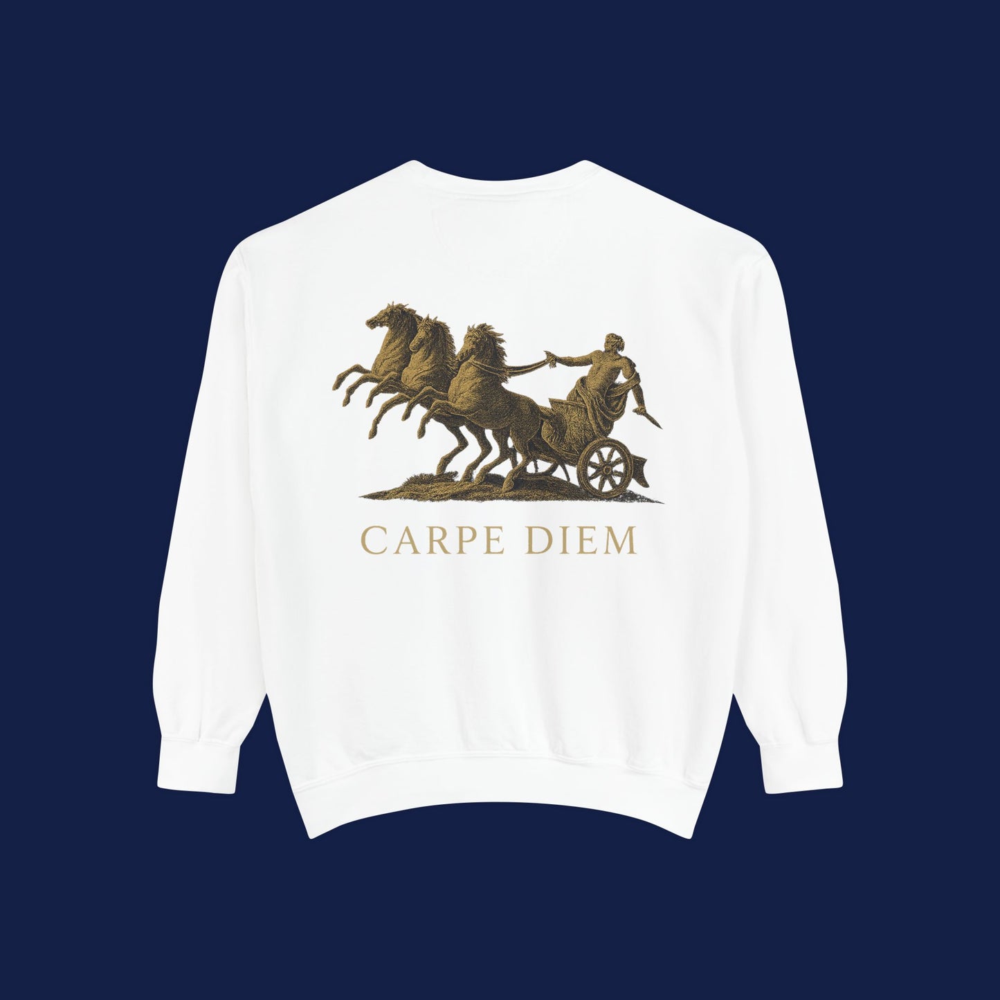 Carpe Diem Sweatshirt, Unisex Vintage-Style Crewneck, Perfect for Everyday Wear, Gifts for Friends, Motivational Apparel