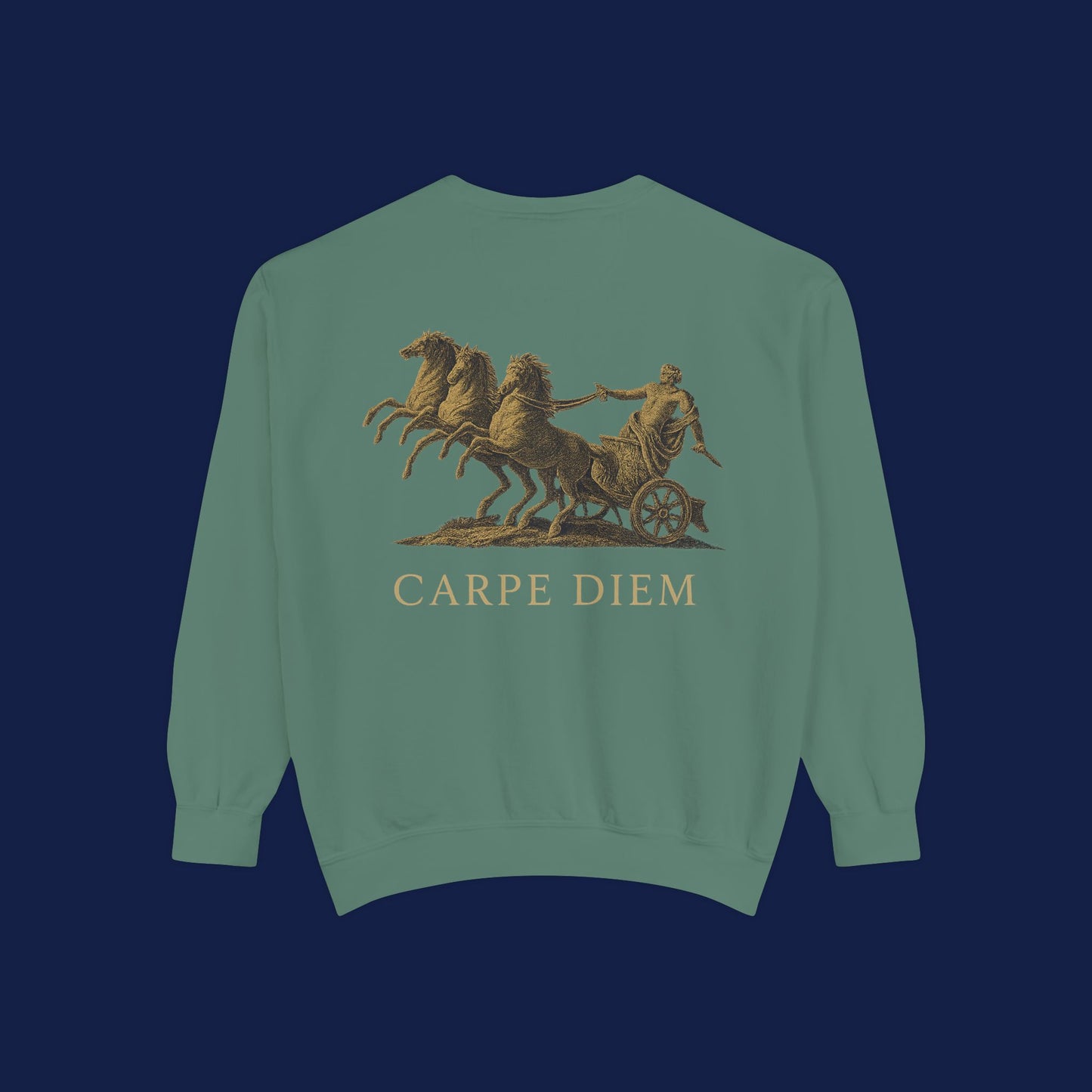 Carpe Diem Sweatshirt, Unisex Vintage-Style Crewneck, Perfect for Everyday Wear, Gifts for Friends, Motivational Apparel