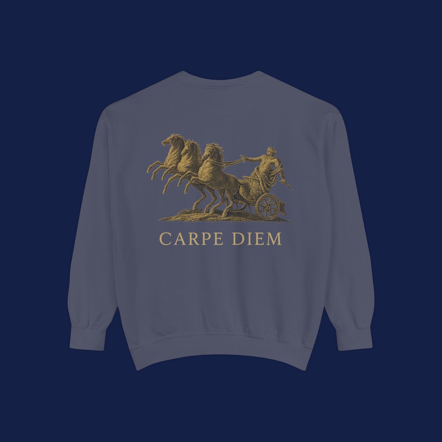 Carpe Diem Sweatshirt, Unisex Vintage-Style Crewneck, Perfect for Everyday Wear, Gifts for Friends, Motivational Apparel