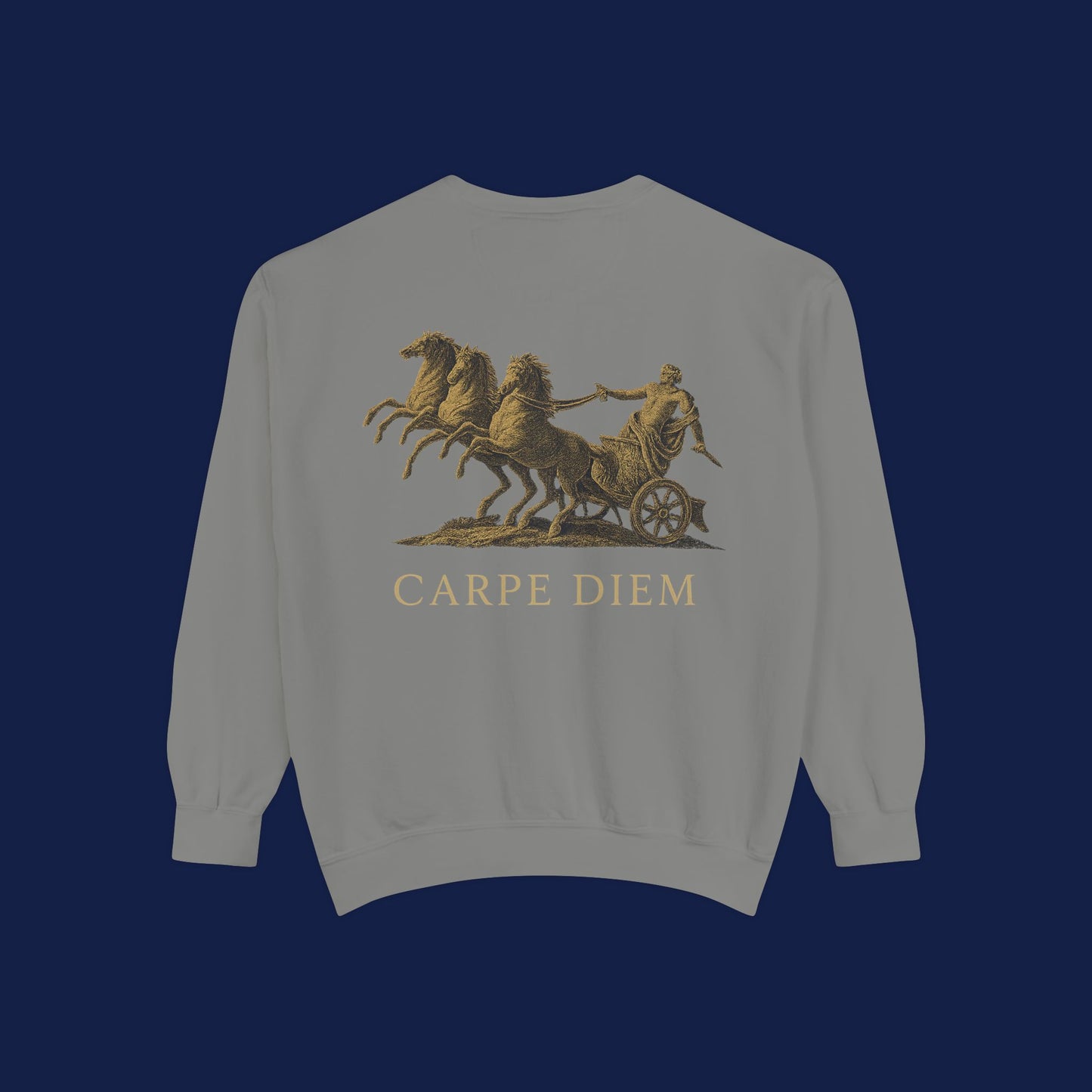 Carpe Diem Sweatshirt, Unisex Vintage-Style Crewneck, Perfect for Everyday Wear, Gifts for Friends, Motivational Apparel