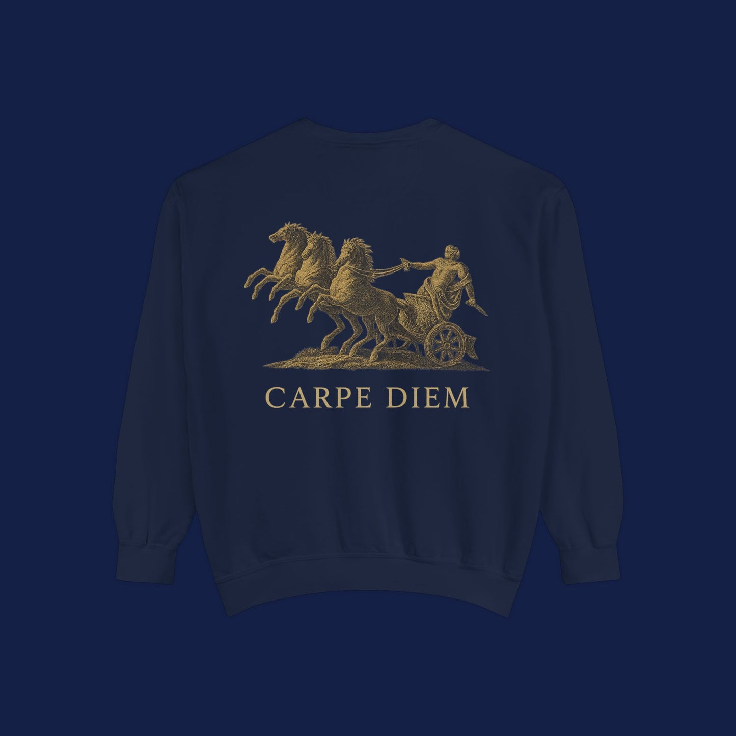 Carpe Diem Sweatshirt, Unisex Vintage-Style Crewneck, Perfect for Everyday Wear, Gifts for Friends, Motivational Apparel