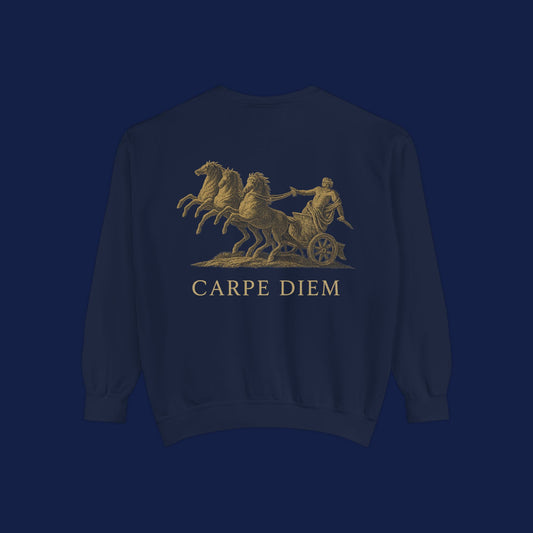 Carpe Diem Sweatshirt, Unisex Vintage-Style Crewneck, Perfect for Everyday Wear, Gifts for Friends, Motivational Apparel
